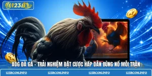 AOG đá gà