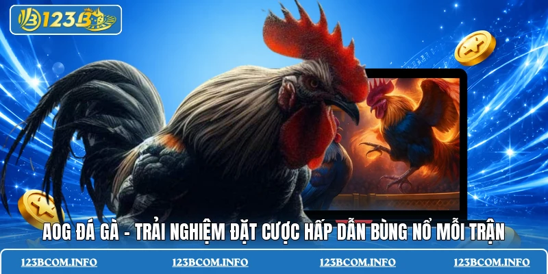 AOG đá gà