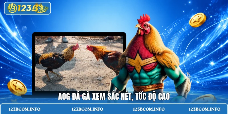 AOG đá gà xem sắc nét, tốc độ cao