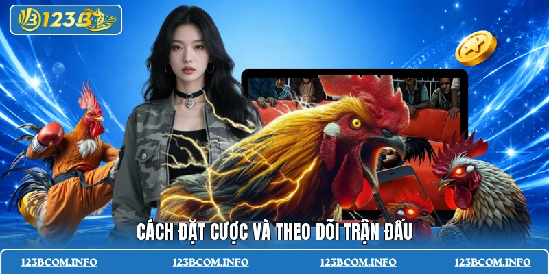 Cách đặt cược và theo dõi trận đấu