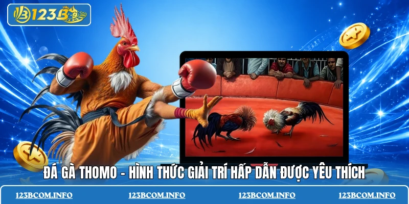 Đá gà Thomo