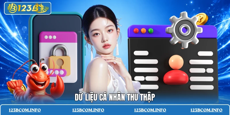 Dữ liệu cá nhân thu thập