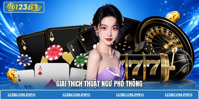 Giải thích thuật ngữ phổ thông
