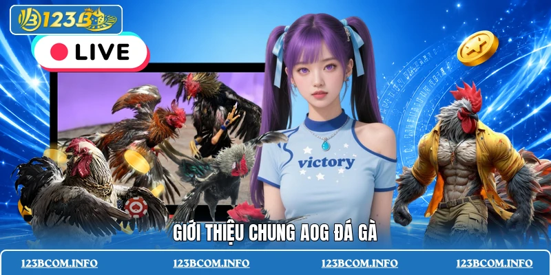 Giới thiệu chung AOG đá gà