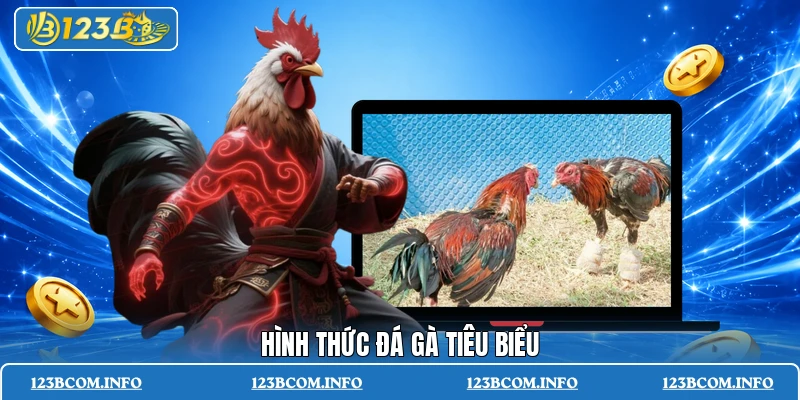 Hình thức đá gà tiêu biểu