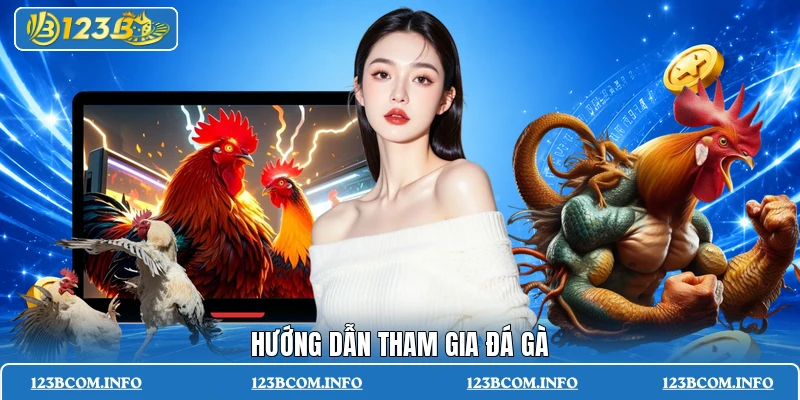 Hướng dẫn tham gia đá gà