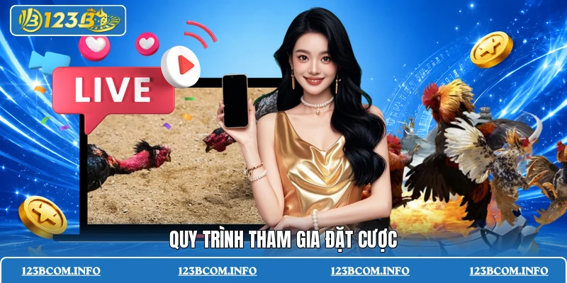 Quy trình tham gia đặt cược