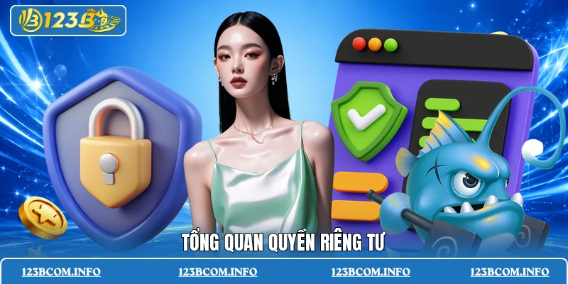 Tổng quan quyền riêng tư