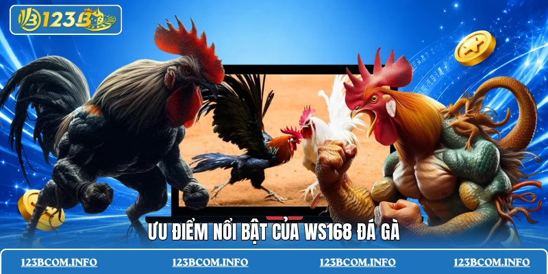 Ưu điểm nổi bật của WS168 đá gà
